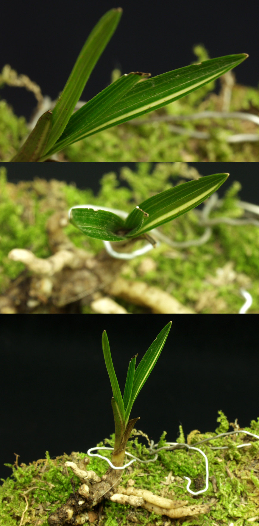 ������ ū������ �� �� �ֽ��ϴ�.