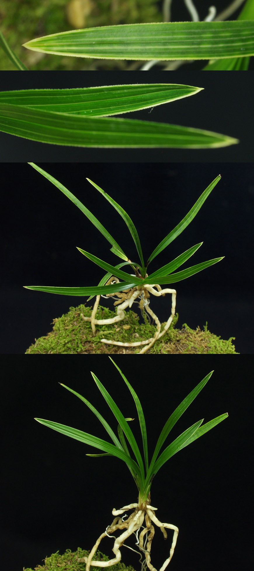 ������ ū������ �� �� �ֽ��ϴ�.