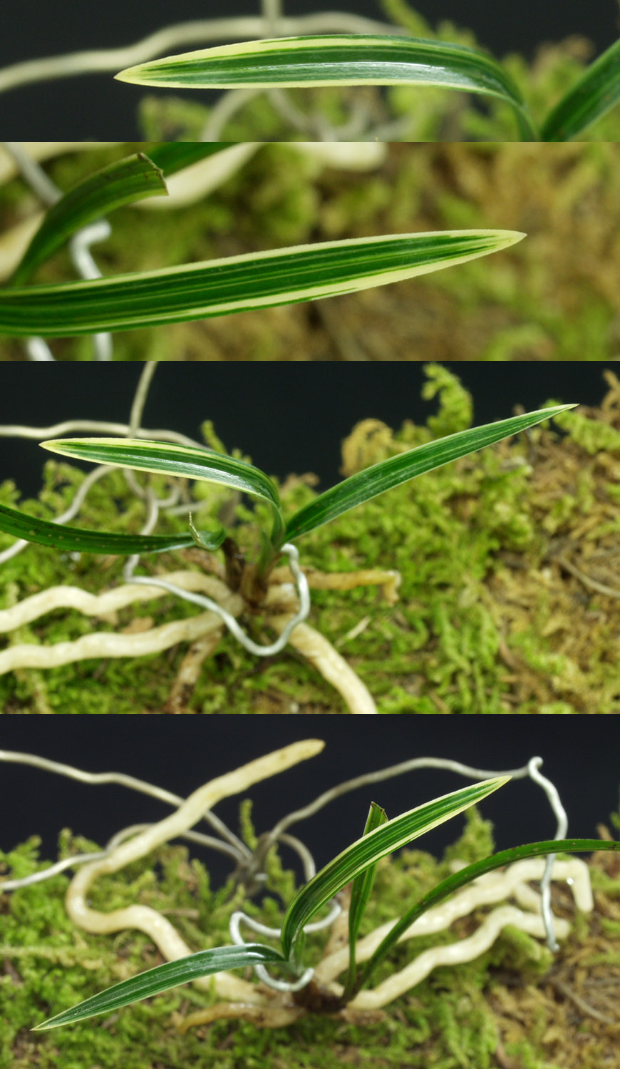 ������ ū������ �� �� �ֽ��ϴ�.