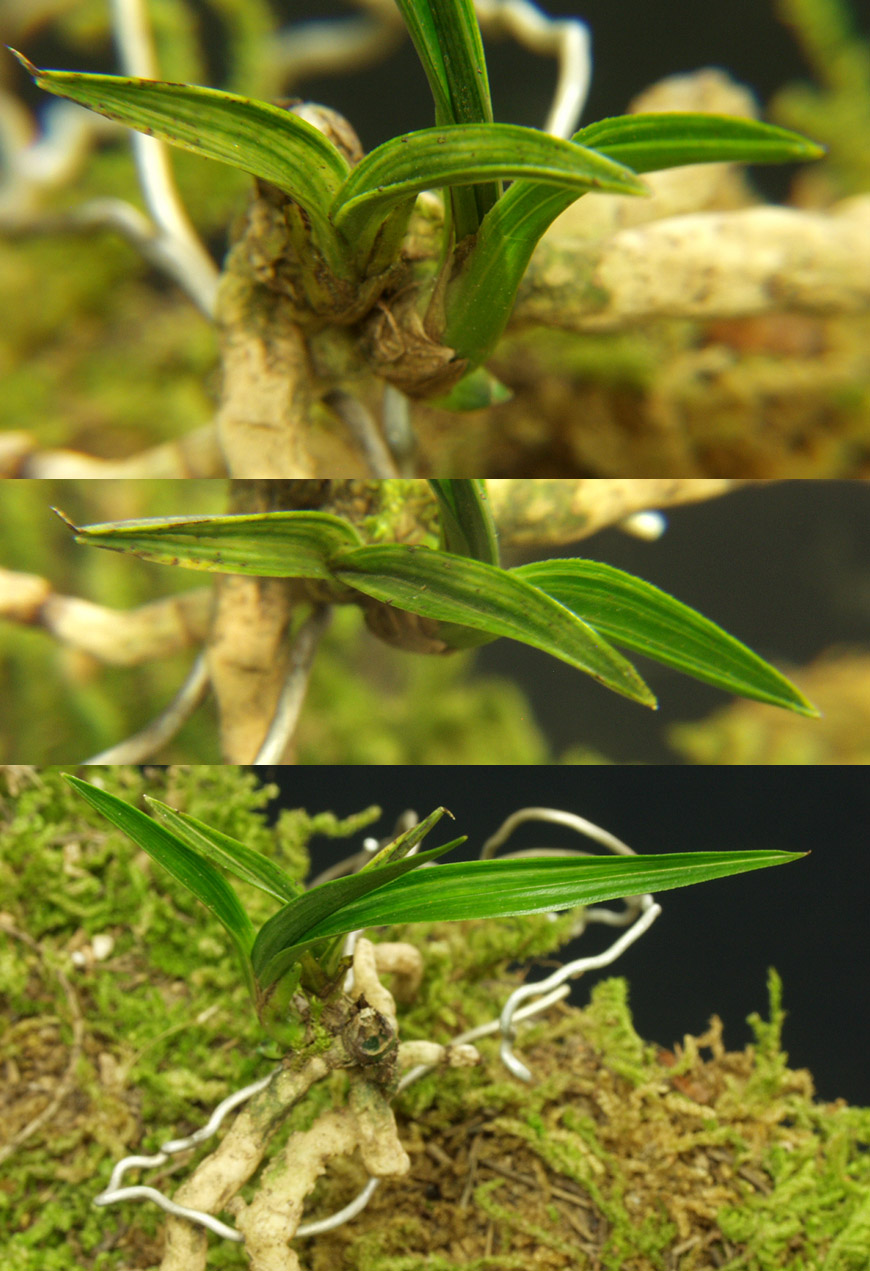 ������ ū������ �� �� �ֽ��ϴ�.