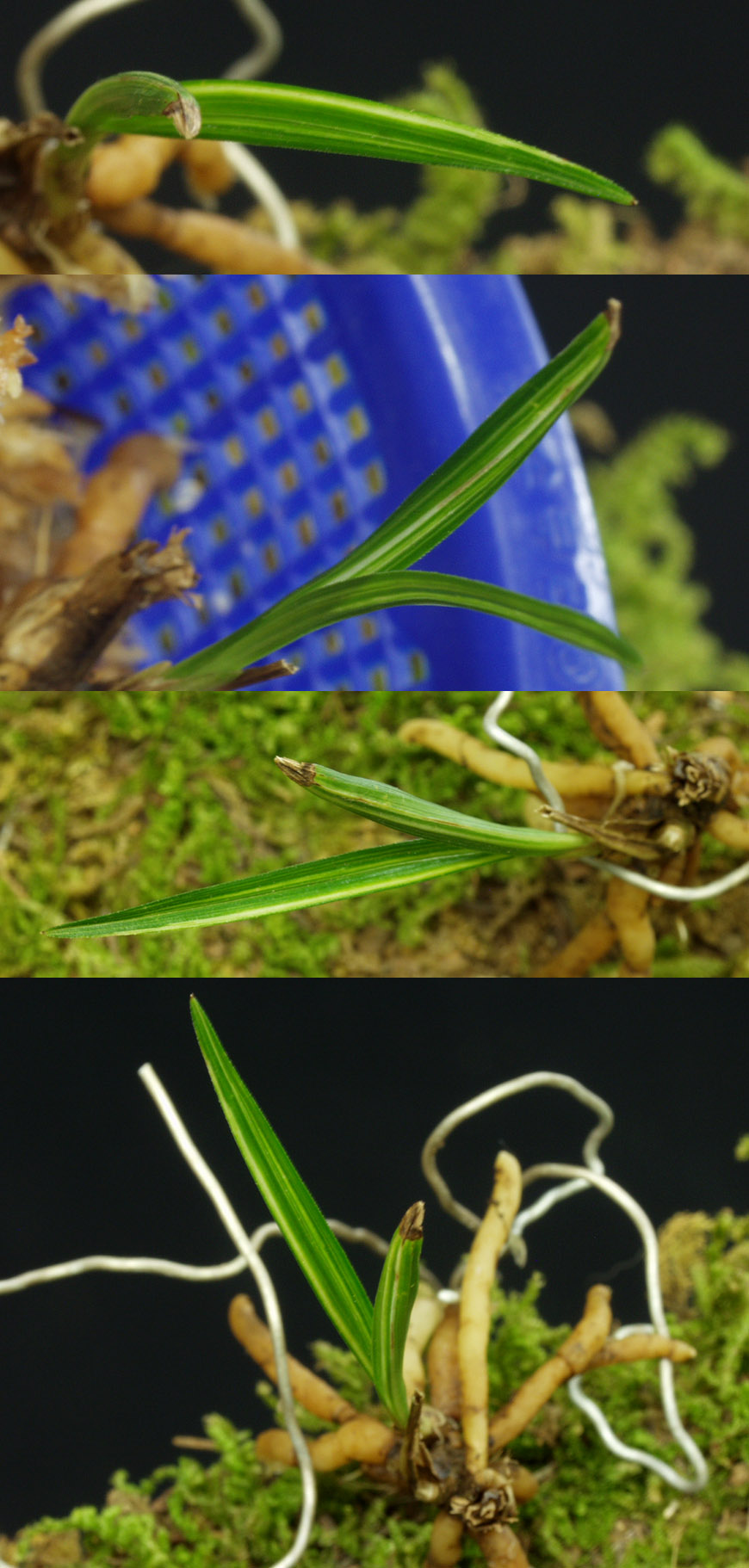 ������ ū������ �� �� �ֽ��ϴ�.