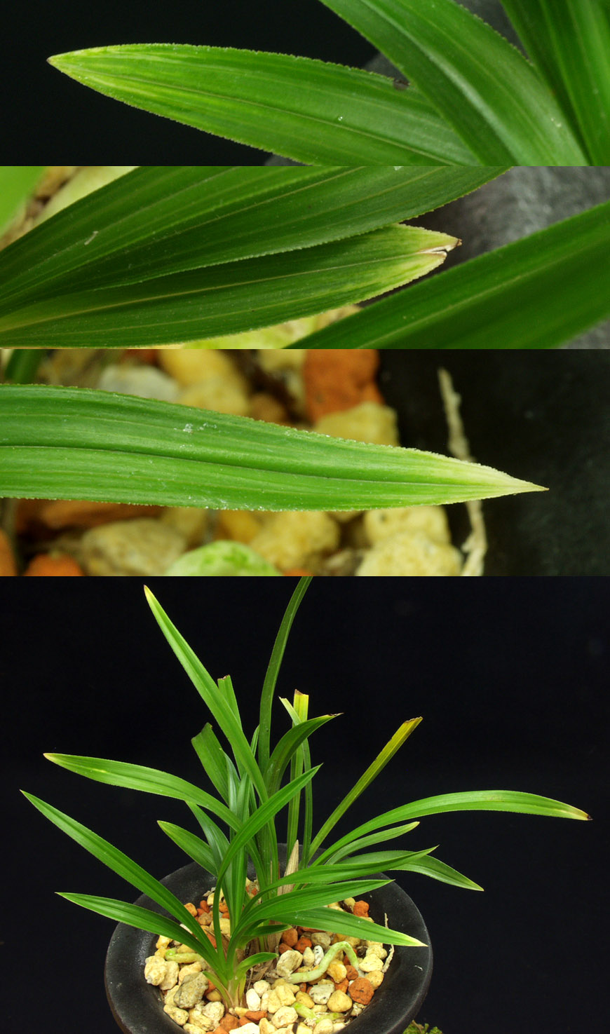 ������ ū������ �� �� �ֽ��ϴ�.