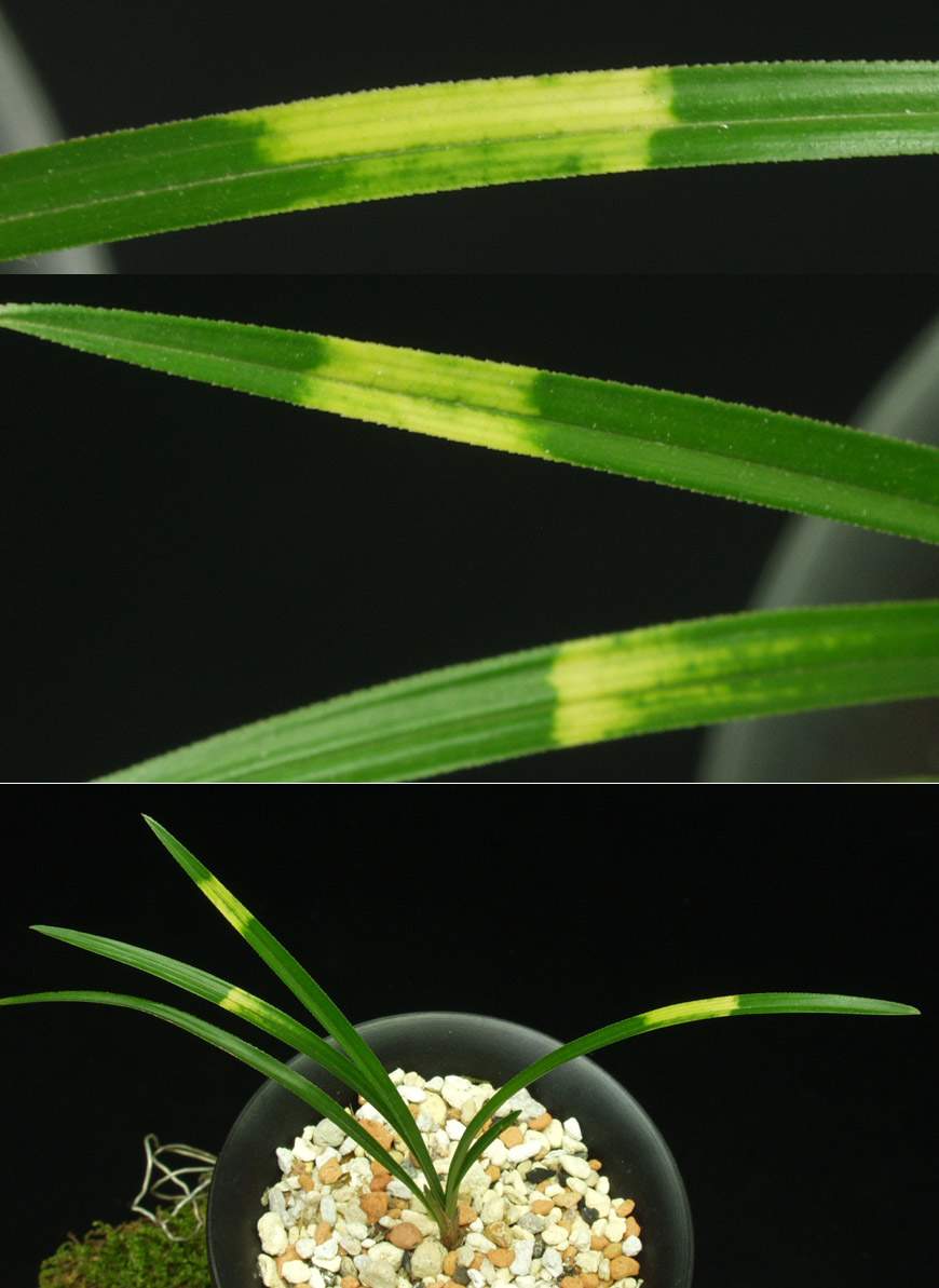 ������ ū������ �� �� �ֽ��ϴ�.