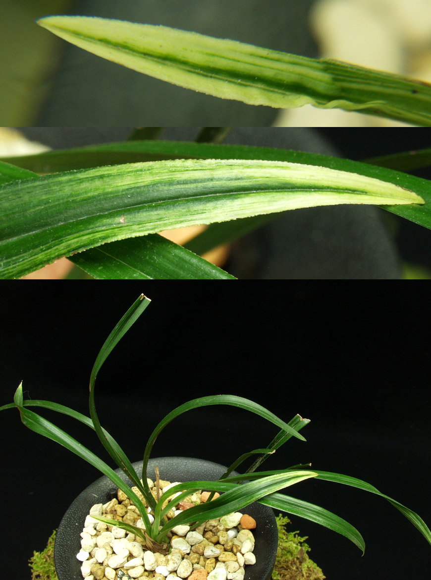 ������ ū������ �� �� �ֽ��ϴ�.