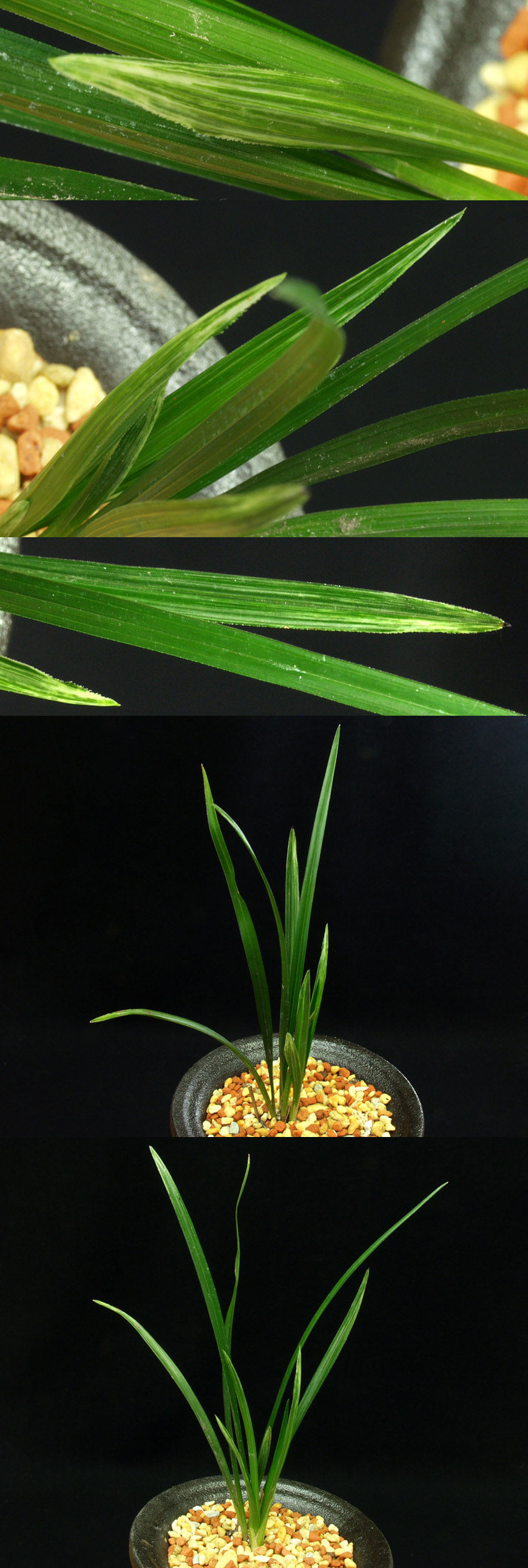 ������ ū������ �� �� �ֽ��ϴ�.