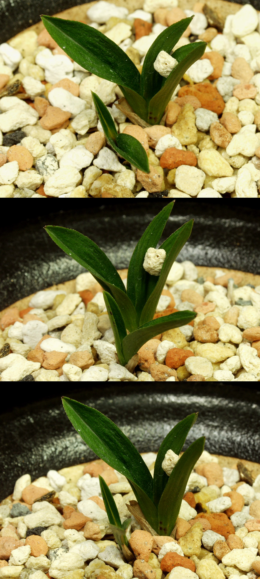 ������ ū������ �� �� �ֽ��ϴ�.