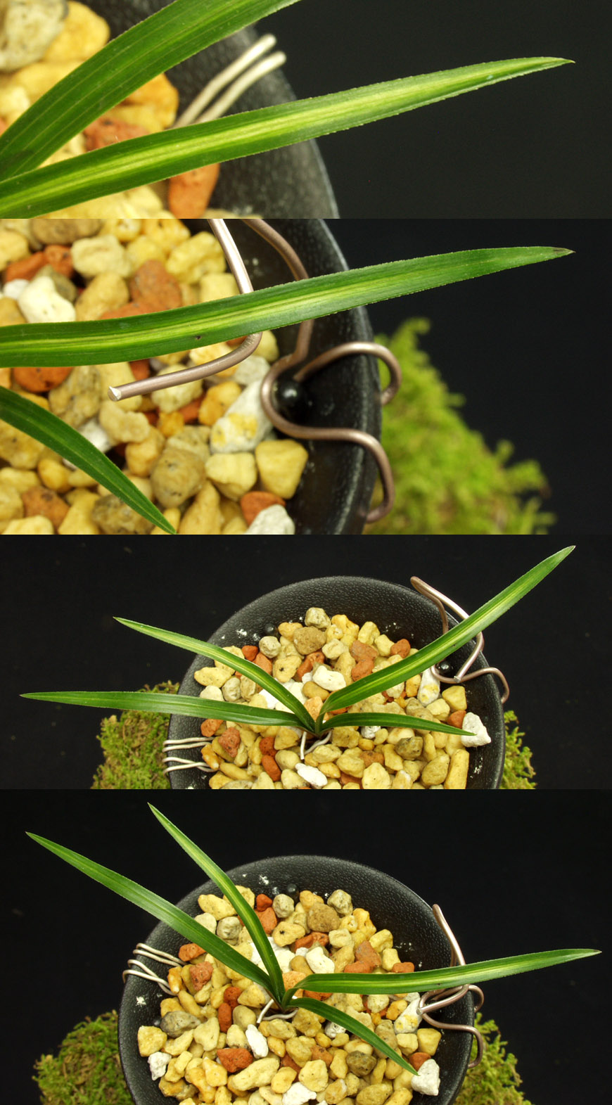 ������ ū������ �� �� �ֽ��ϴ�.