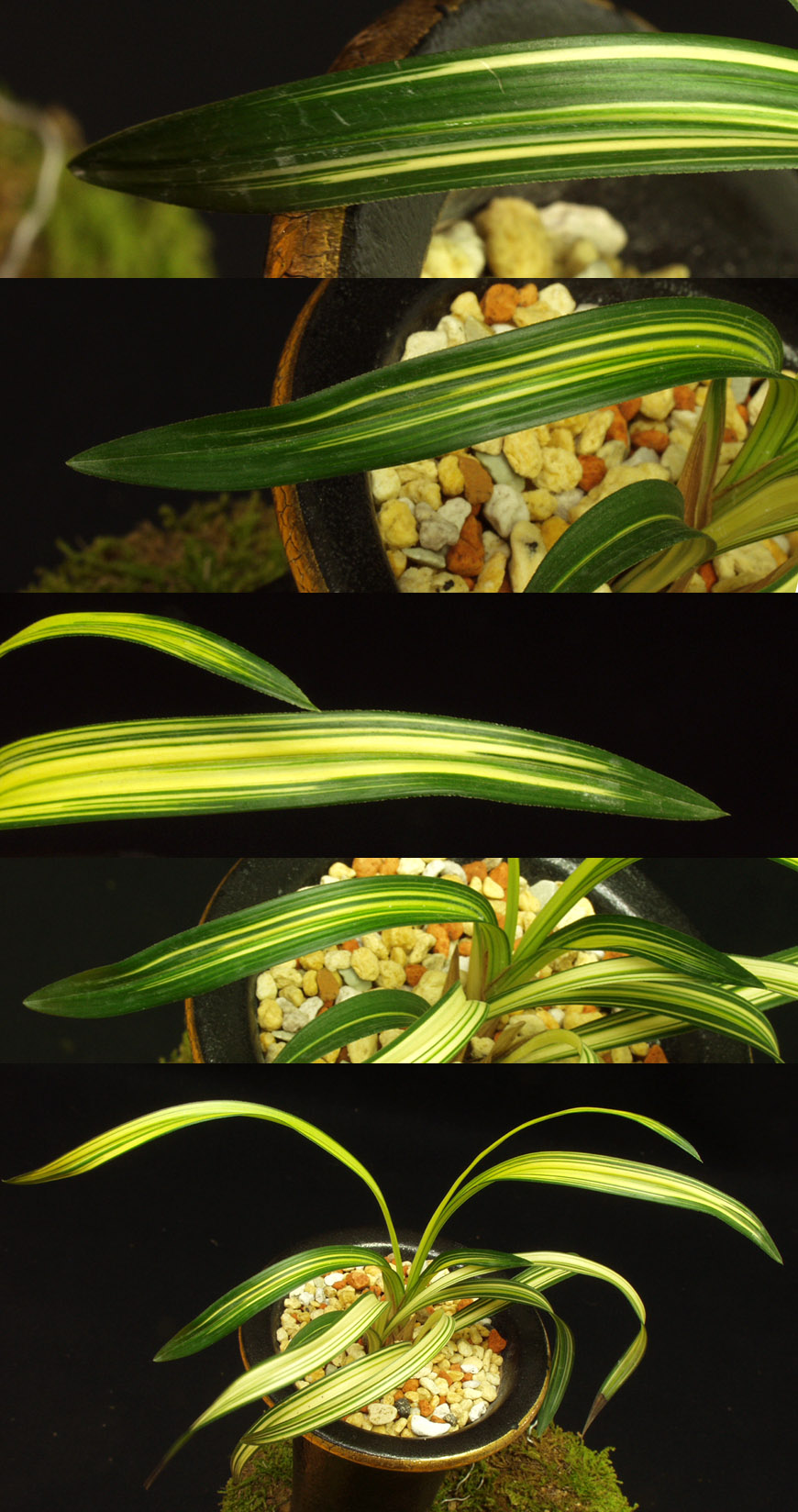 ������ ū������ �� �� �ֽ��ϴ�.