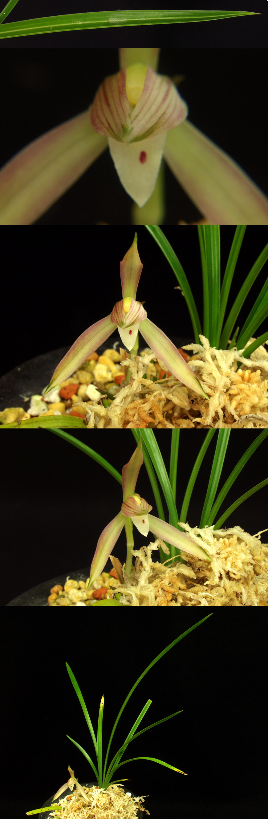 ������ ū������ �� �� �ֽ��ϴ�.