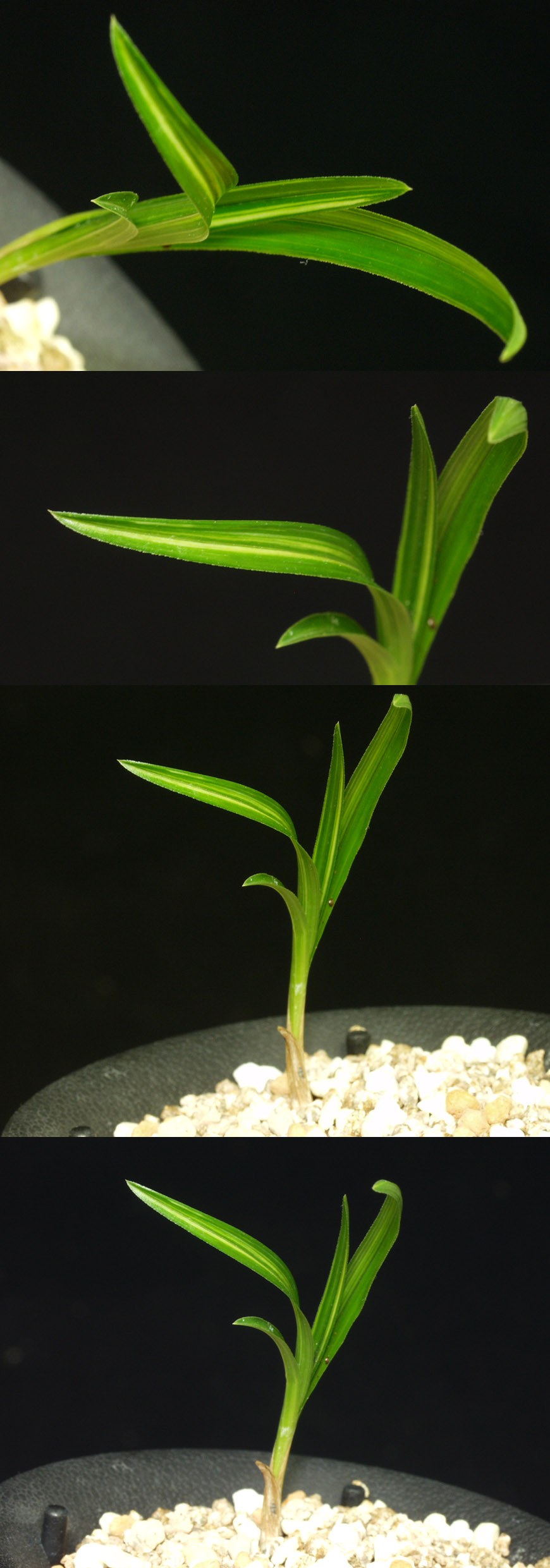 ������ ū������ �� �� �ֽ��ϴ�.