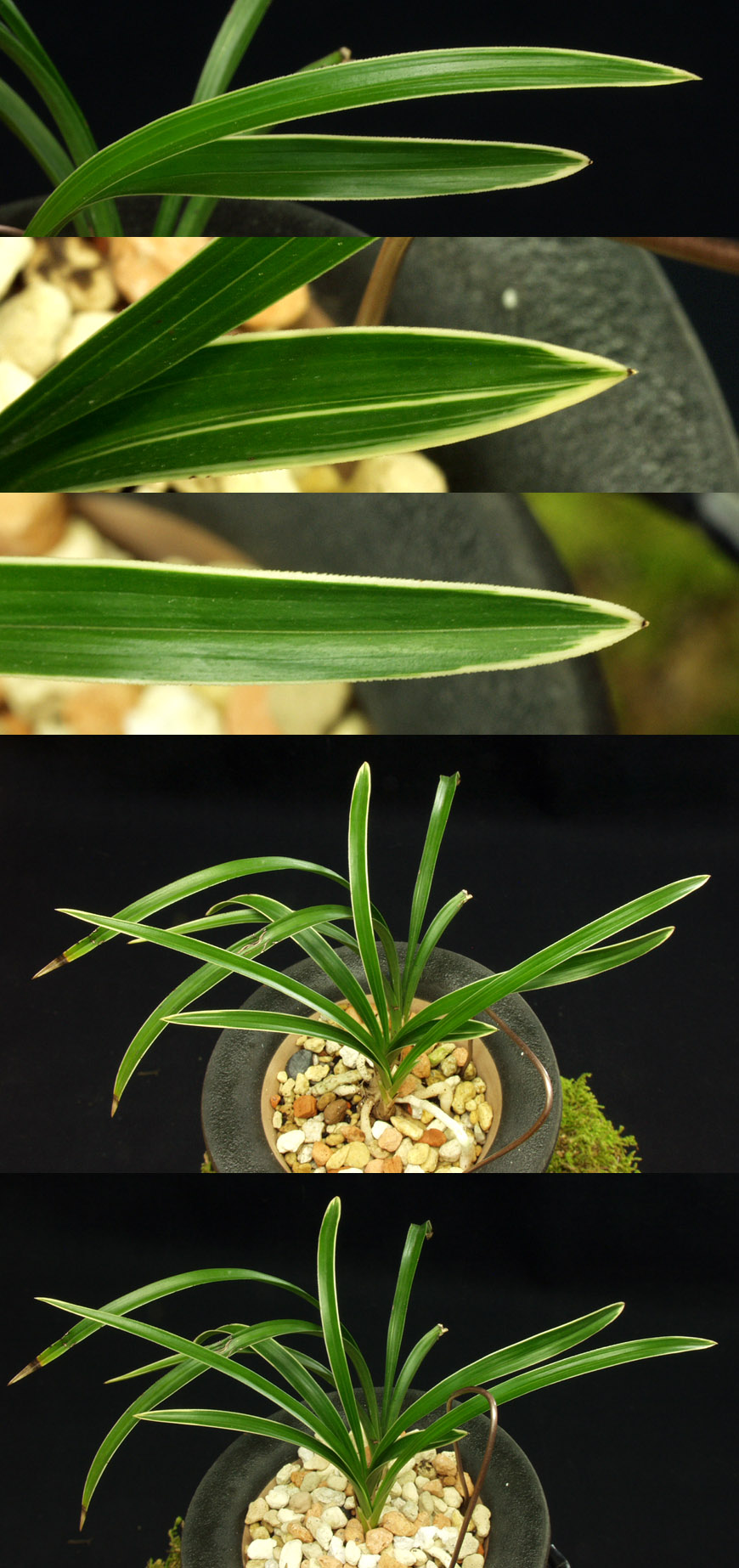 ������ ū������ �� �� �ֽ��ϴ�.