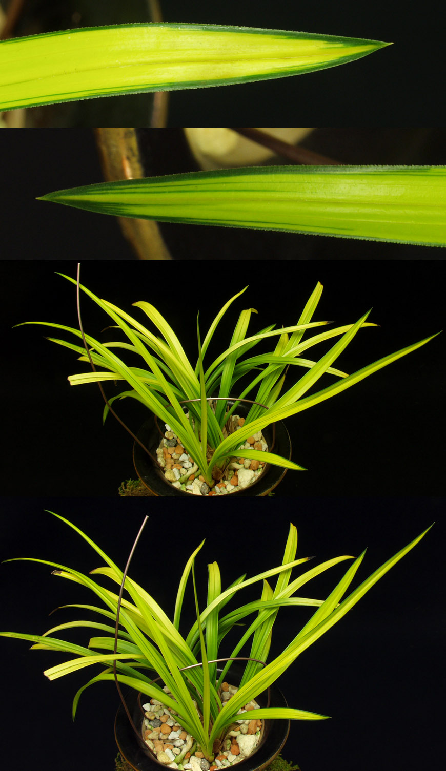 ������ ū������ �� �� �ֽ��ϴ�.