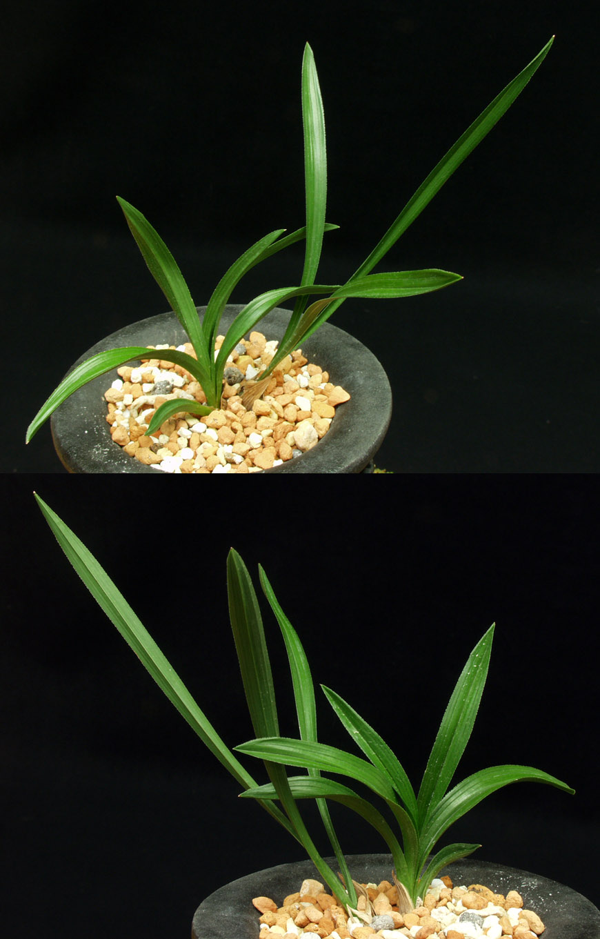 ������ ū������ �� �� �ֽ��ϴ�.