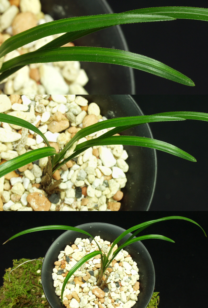 ������ ū������ �� �� �ֽ��ϴ�.