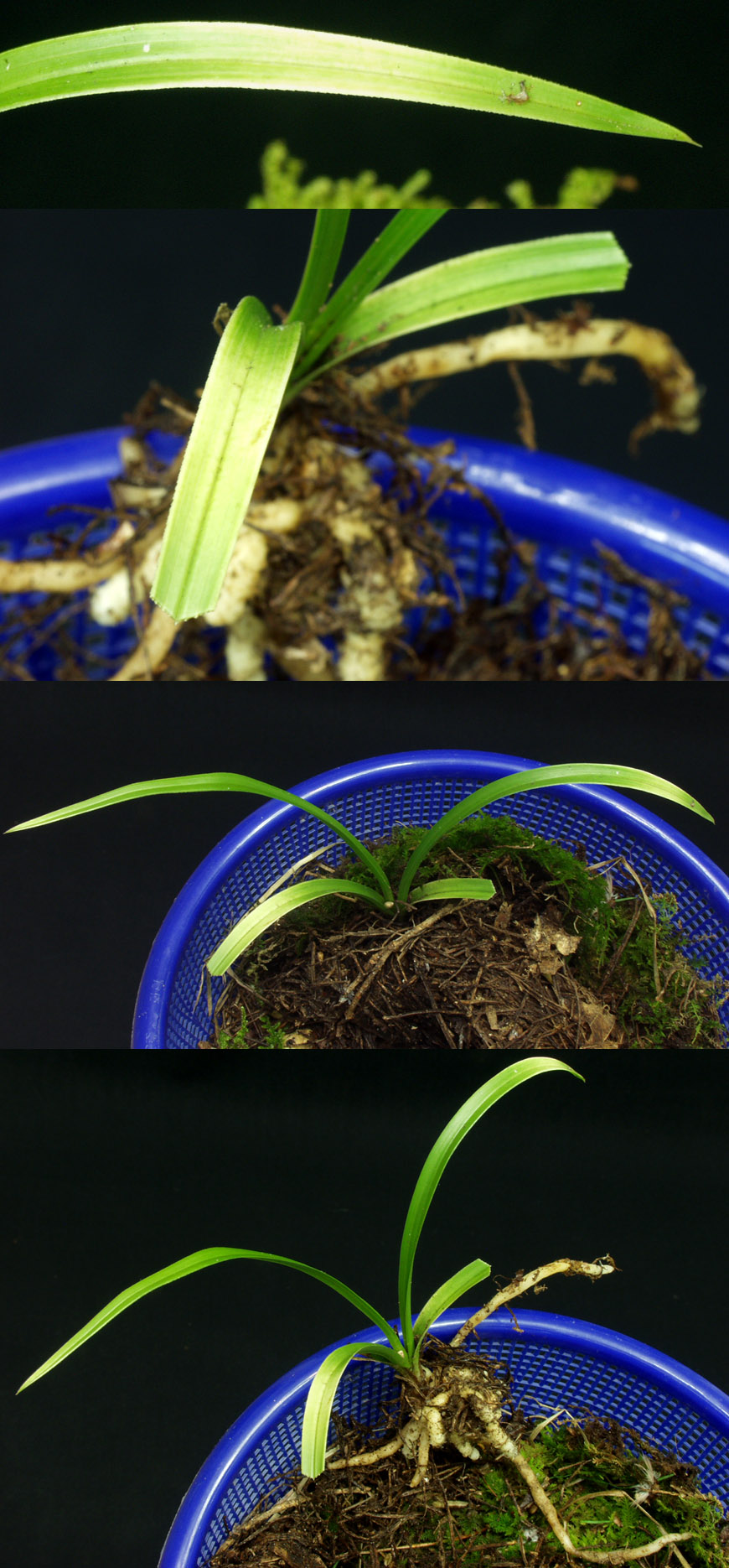 ������ ū������ �� �� �ֽ��ϴ�.