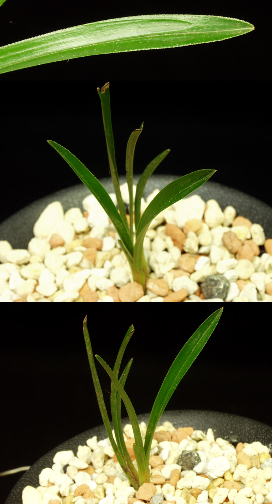 ������ ū������ �� �� �ֽ��ϴ�.