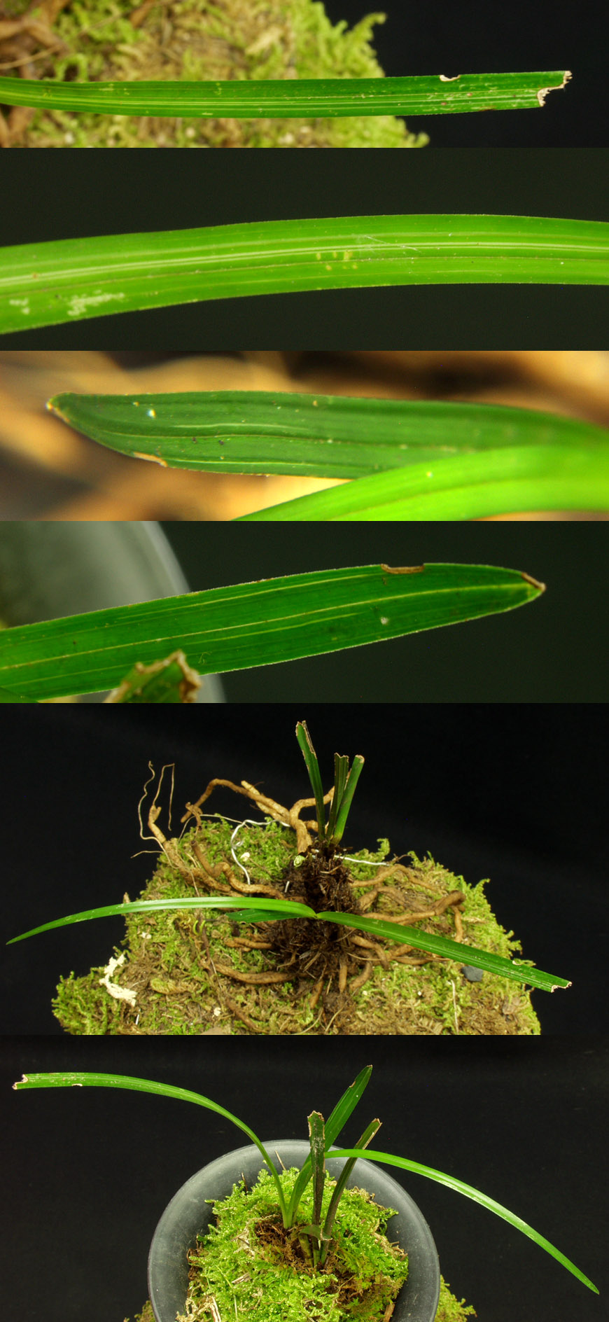 ������ ū������ �� �� �ֽ��ϴ�.