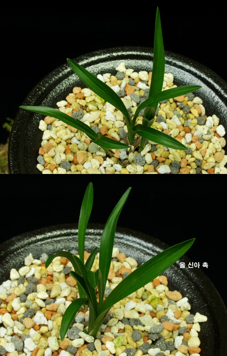 ������ ū������ �� �� �ֽ��ϴ�.