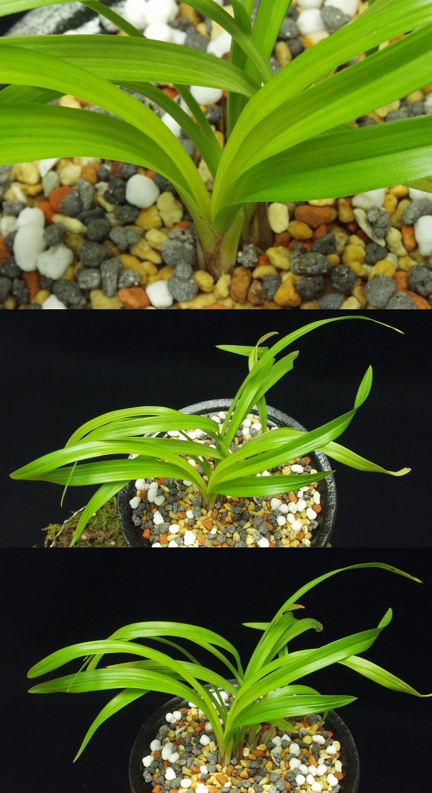 ������ ū������ �� �� �ֽ��ϴ�.