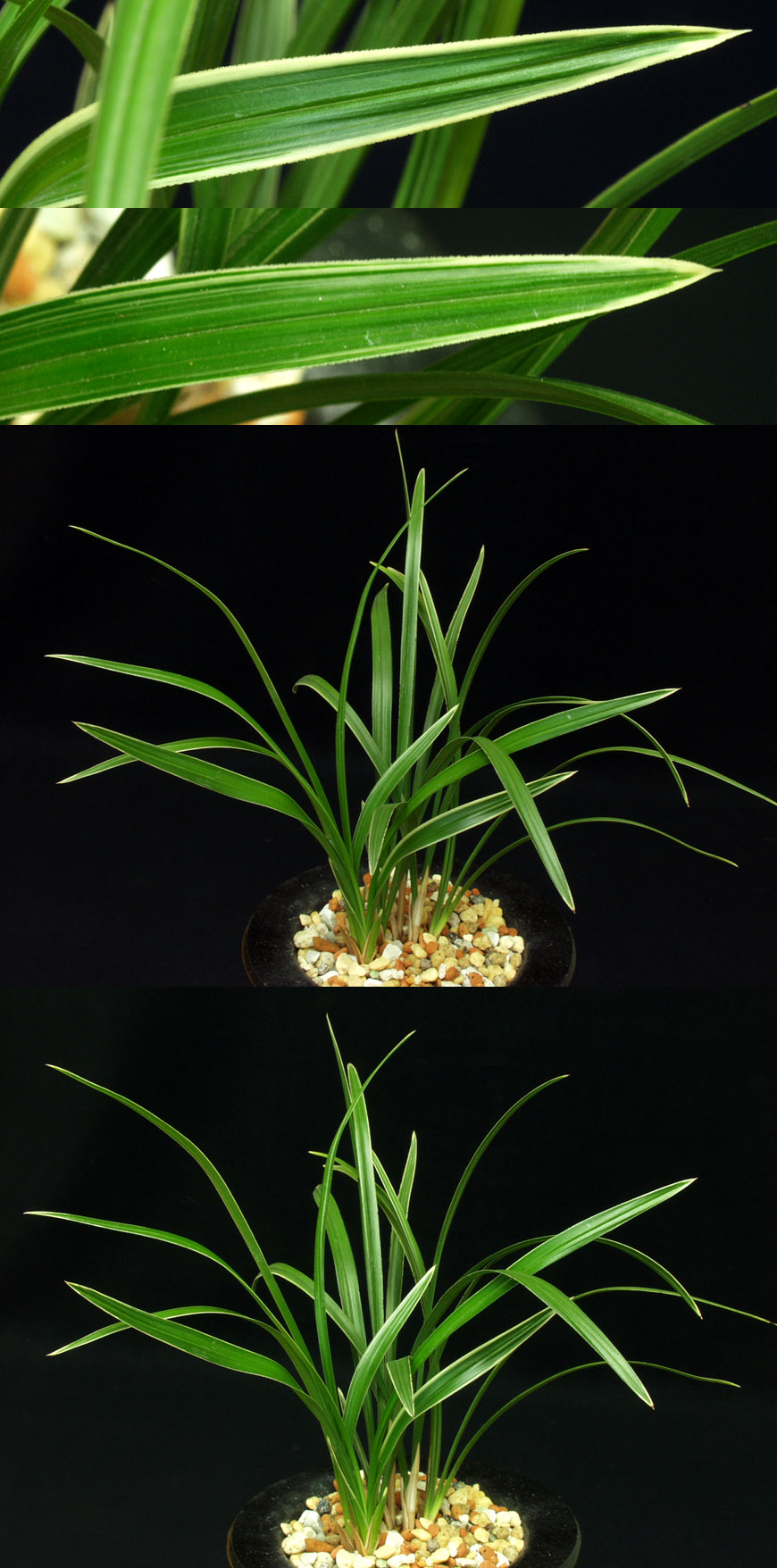 ������ ū������ �� �� �ֽ��ϴ�.