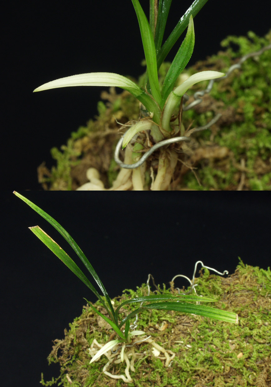 ������ ū������ �� �� �ֽ��ϴ�.