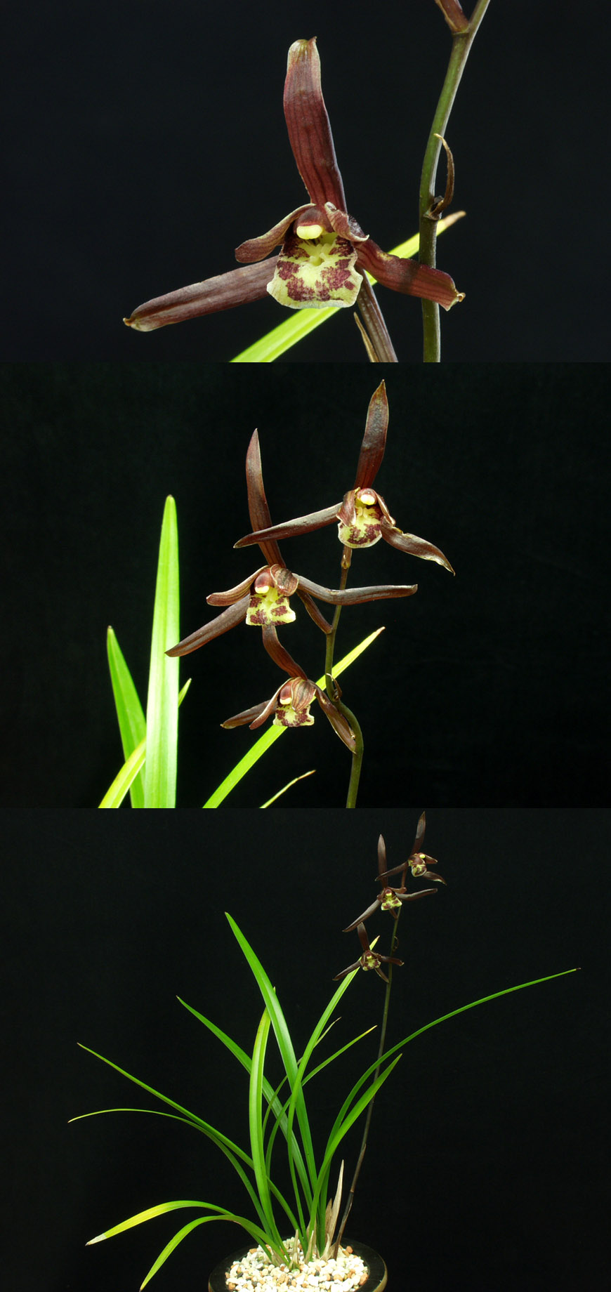 ������ ū������ �� �� �ֽ��ϴ�.