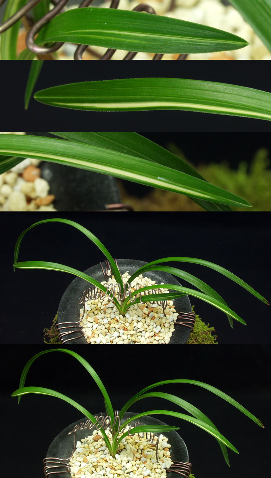 ������ ū������ �� �� �ֽ��ϴ�.