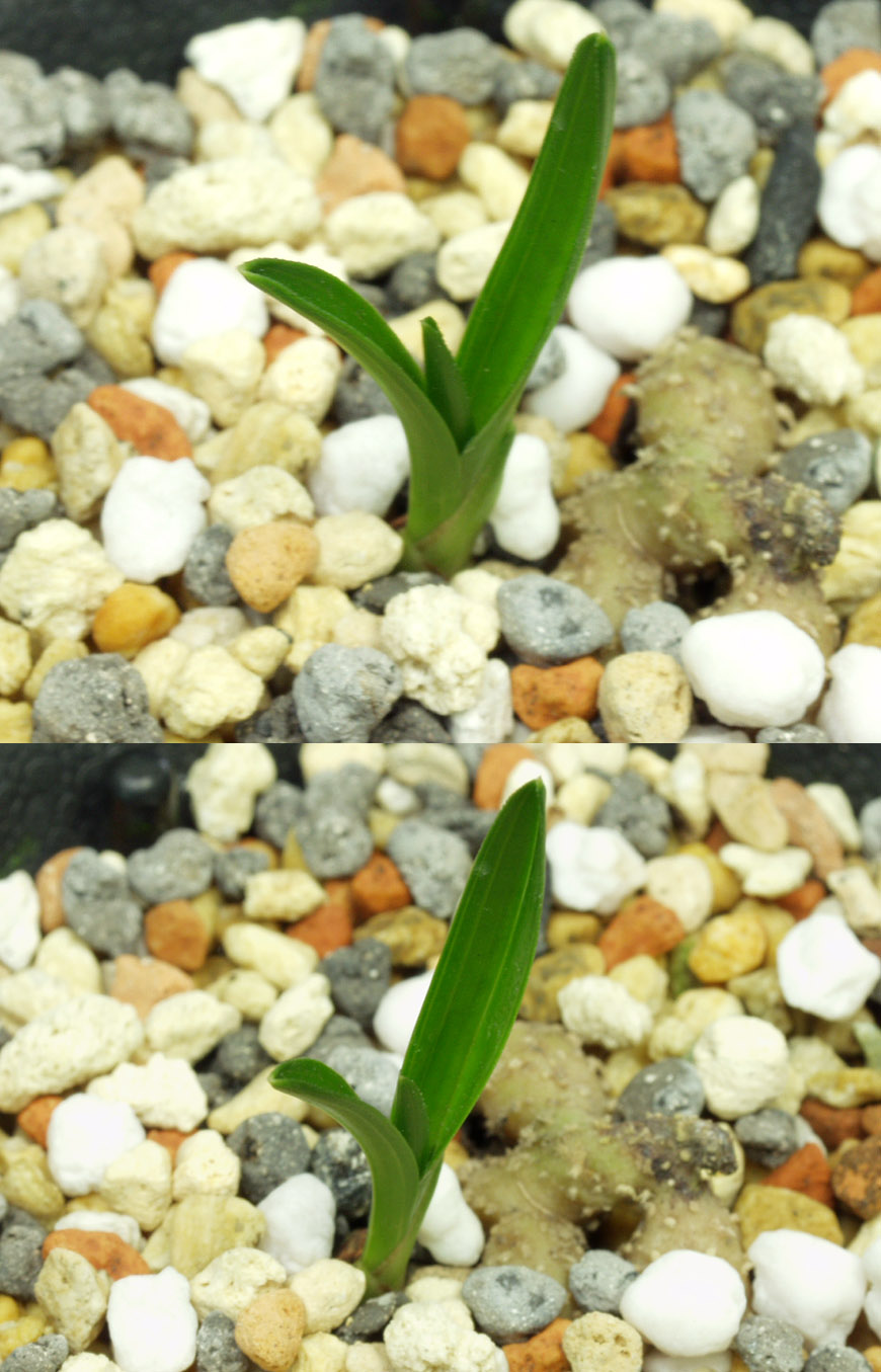 ������ ū������ �� �� �ֽ��ϴ�.