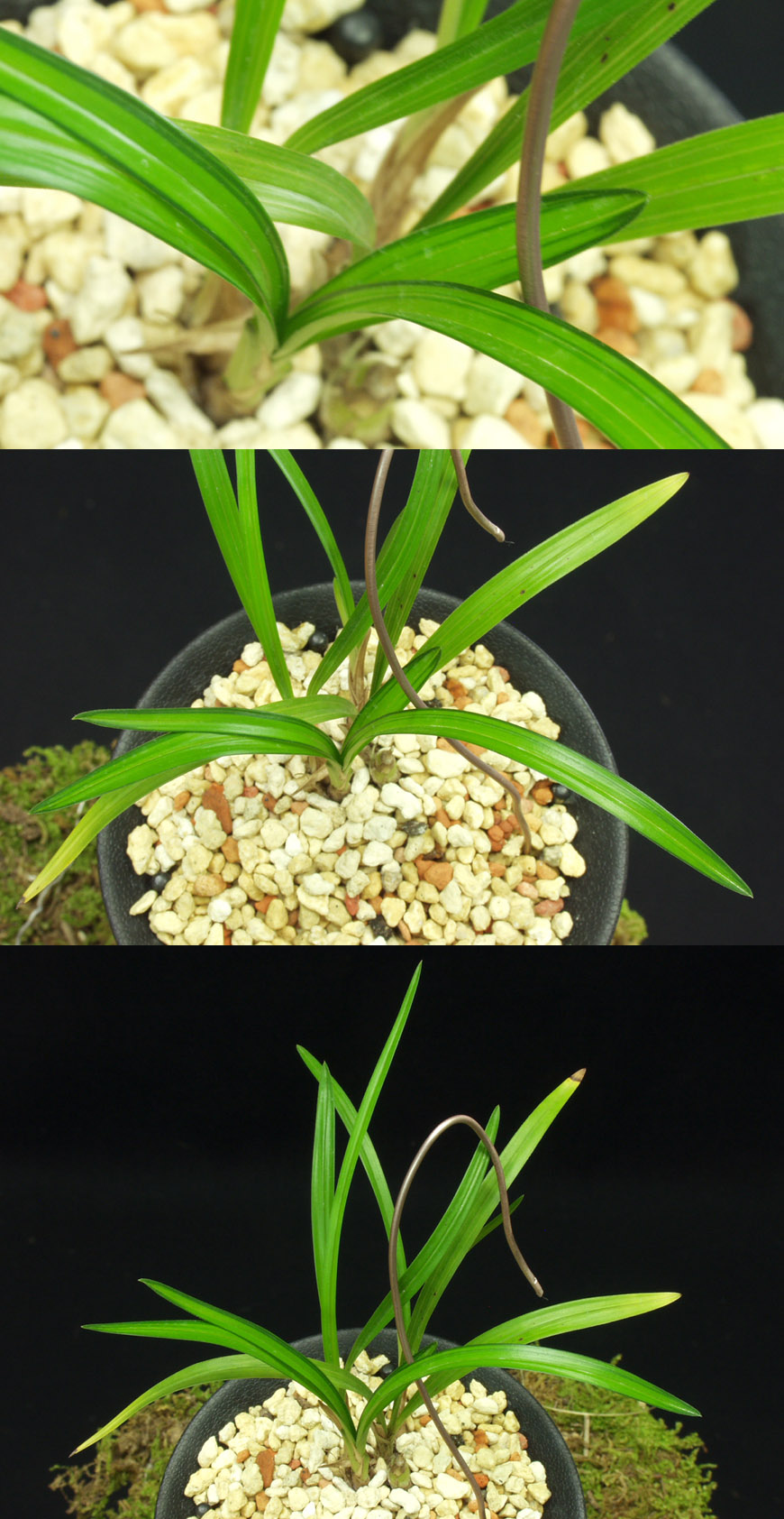 ������ ū������ �� �� �ֽ��ϴ�.