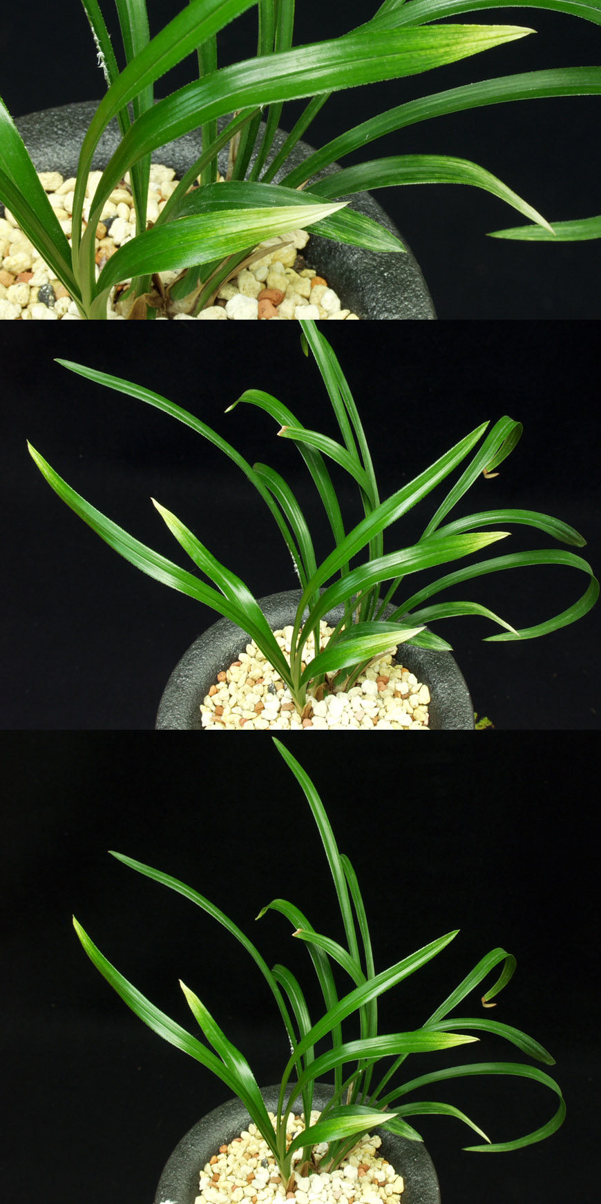 ������ ū������ �� �� �ֽ��ϴ�.