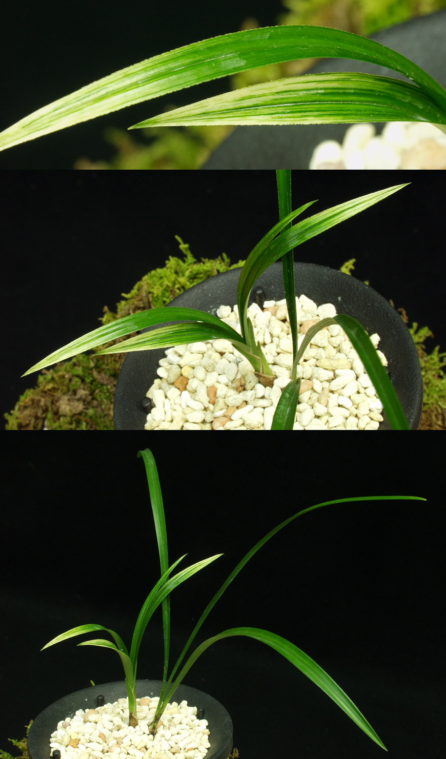 ������ ū������ �� �� �ֽ��ϴ�.