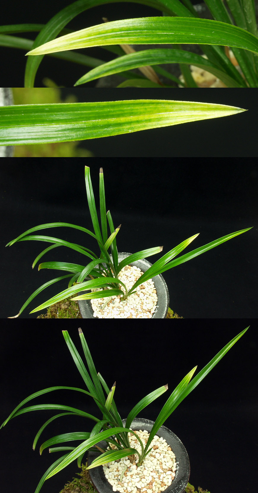 ������ ū������ �� �� �ֽ��ϴ�.