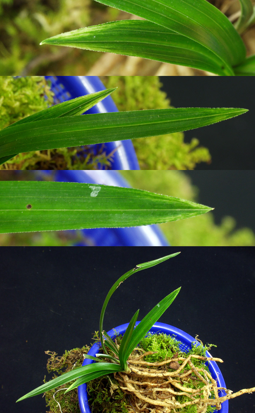 ������ ū������ �� �� �ֽ��ϴ�.