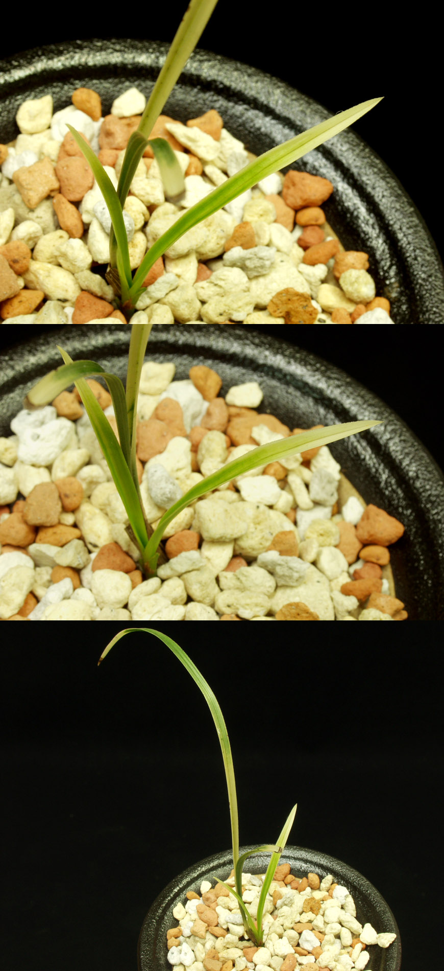 ������ ū������ �� �� �ֽ��ϴ�.