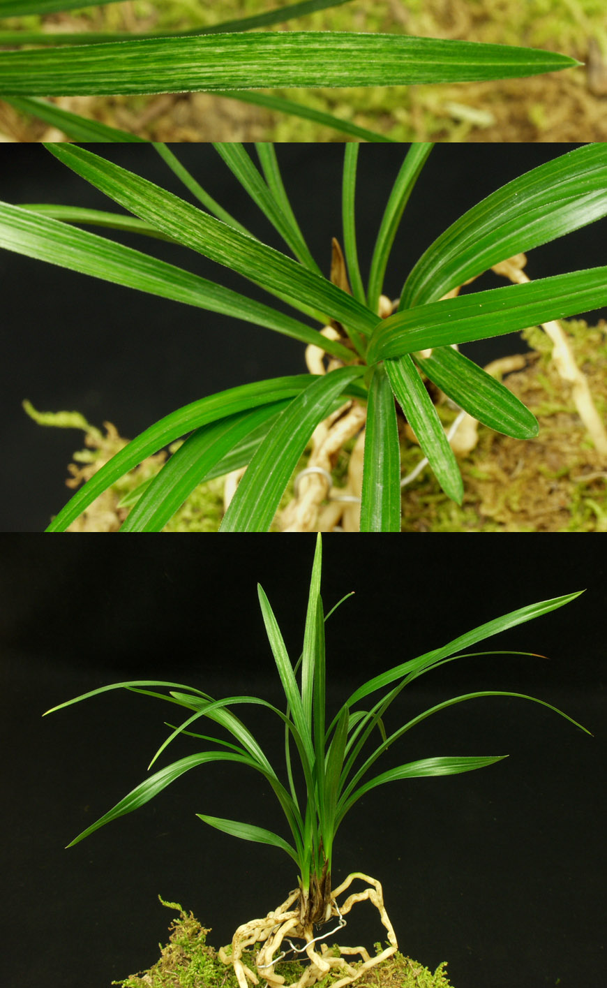 ������ ū������ �� �� �ֽ��ϴ�.