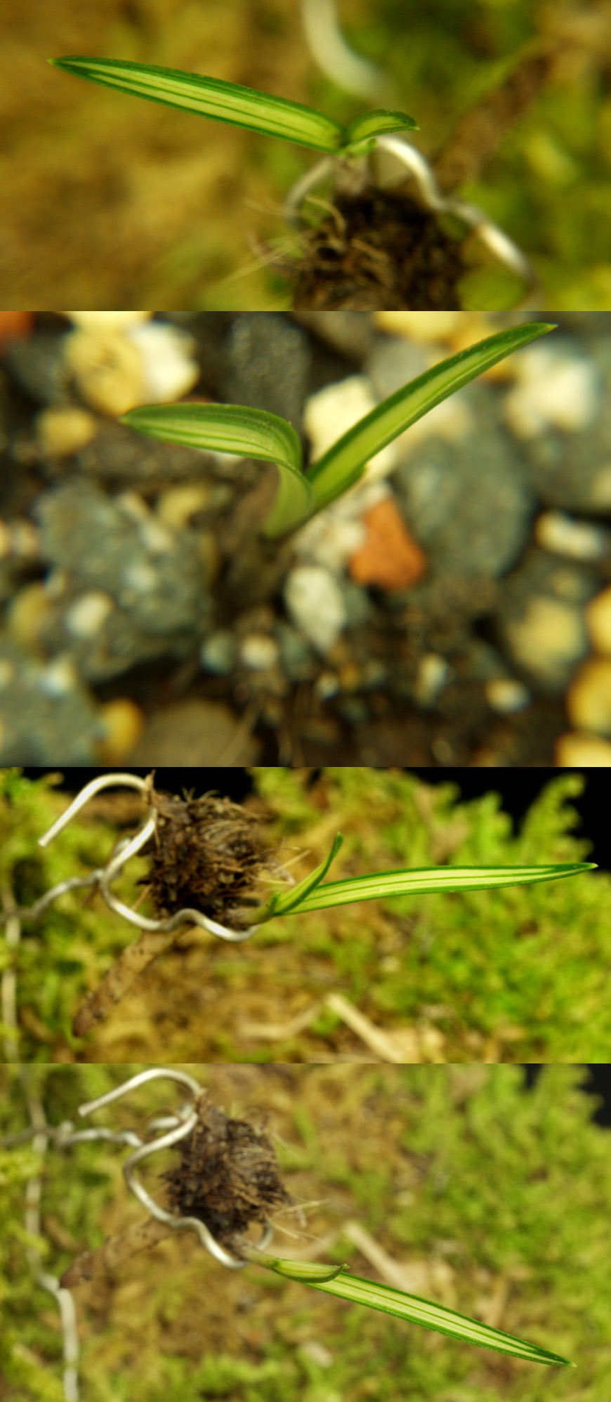 ������ ū������ �� �� �ֽ��ϴ�.