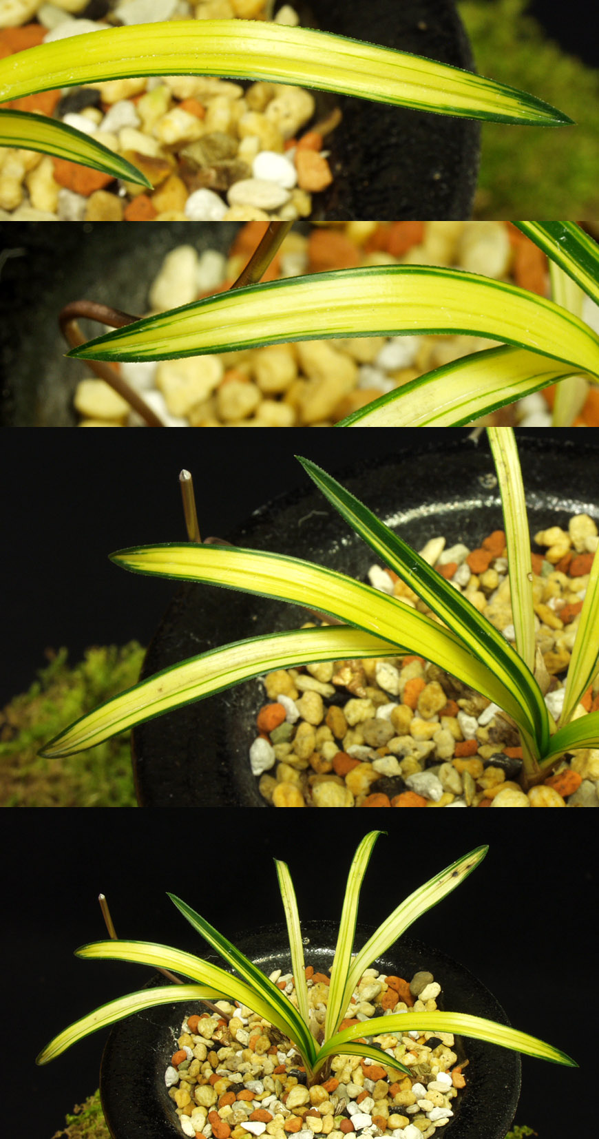 ������ ū������ �� �� �ֽ��ϴ�.