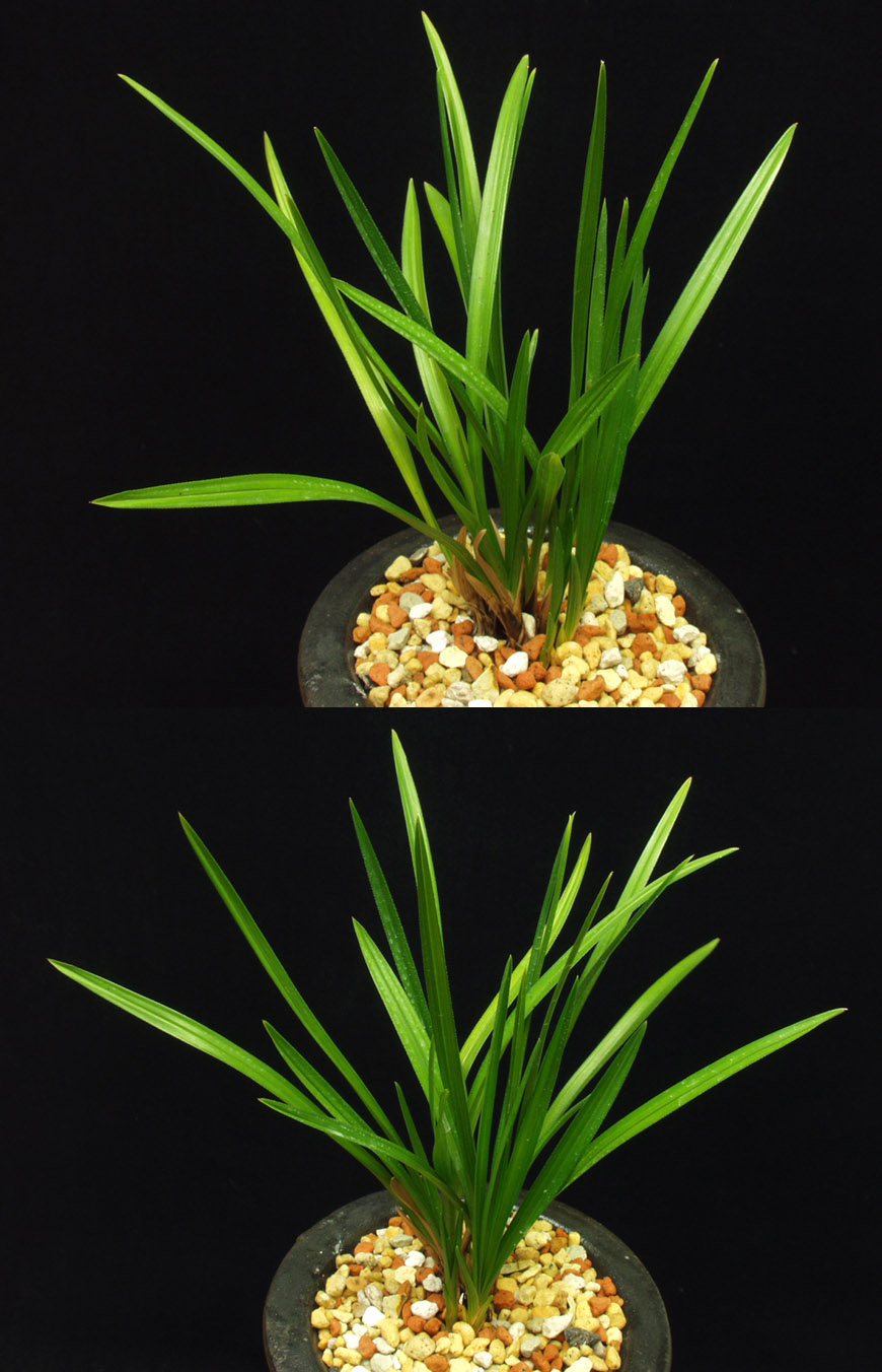 ������ ū������ �� �� �ֽ��ϴ�.