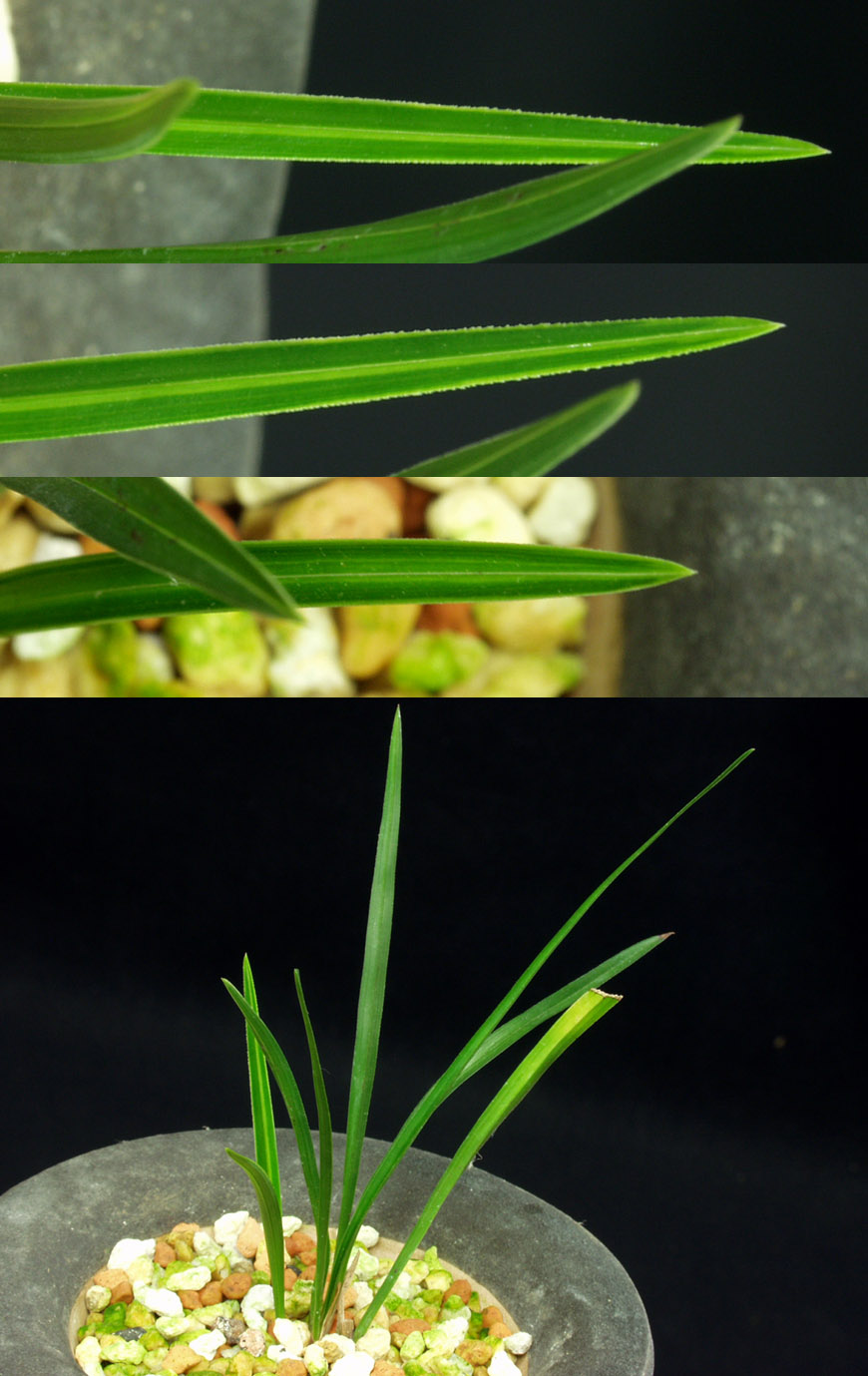 ������ ū������ �� �� �ֽ��ϴ�.