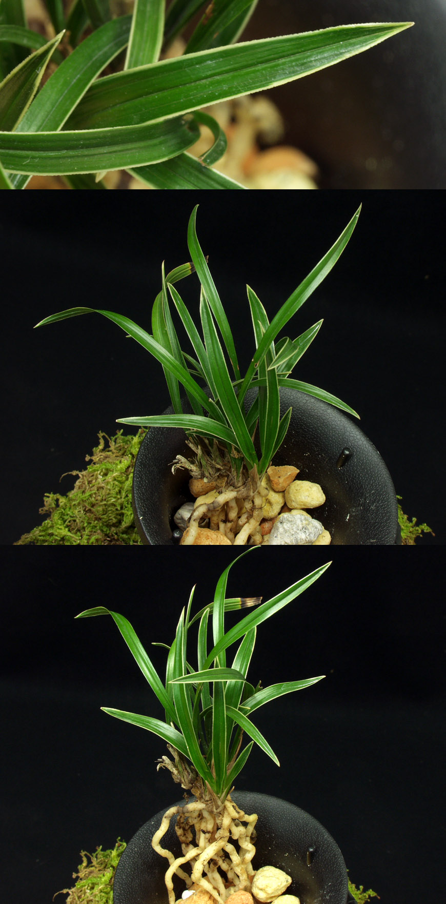 ������ ū������ �� �� �ֽ��ϴ�.