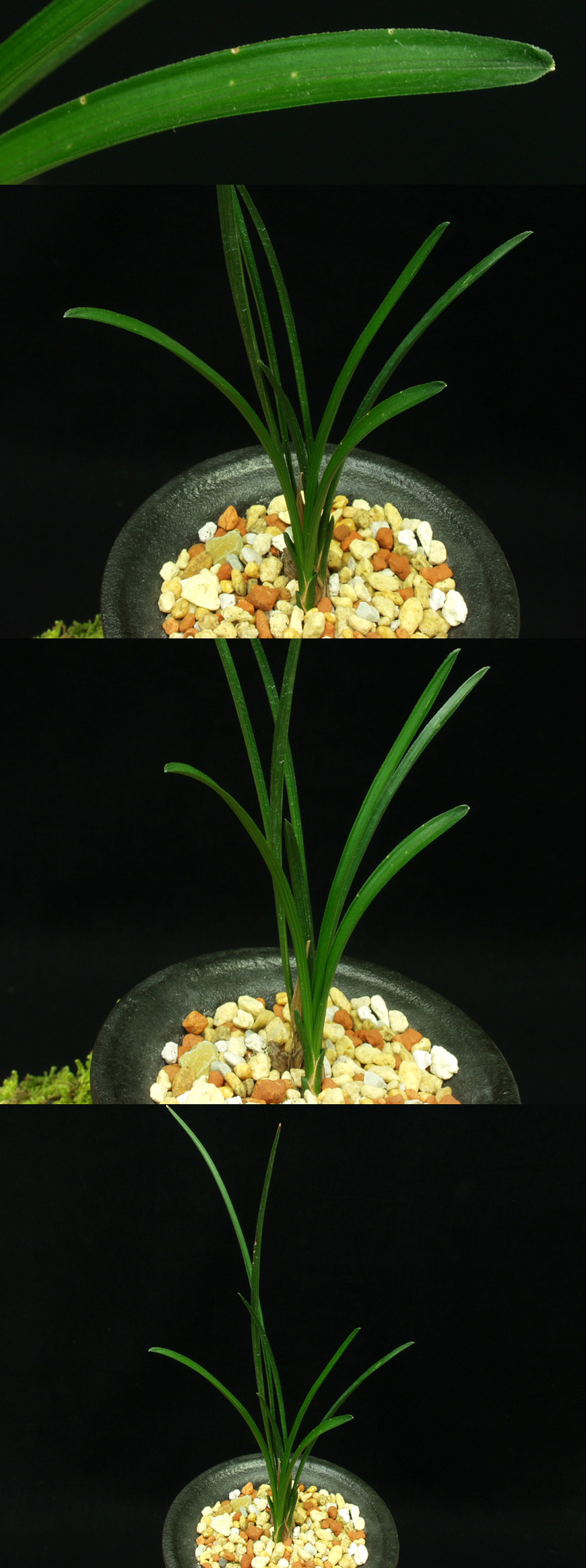 ������ ū������ �� �� �ֽ��ϴ�.