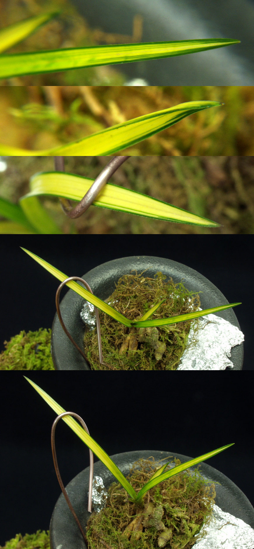 ������ ū������ �� �� �ֽ��ϴ�.