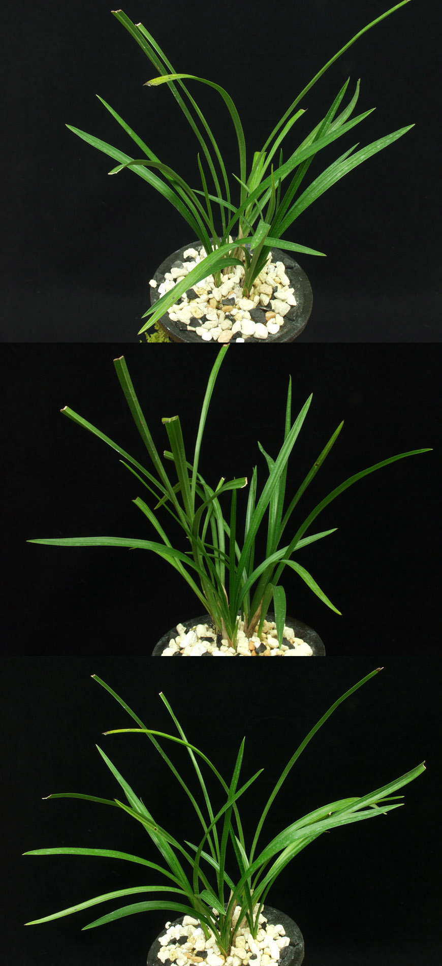 ������ ū������ �� �� �ֽ��ϴ�.