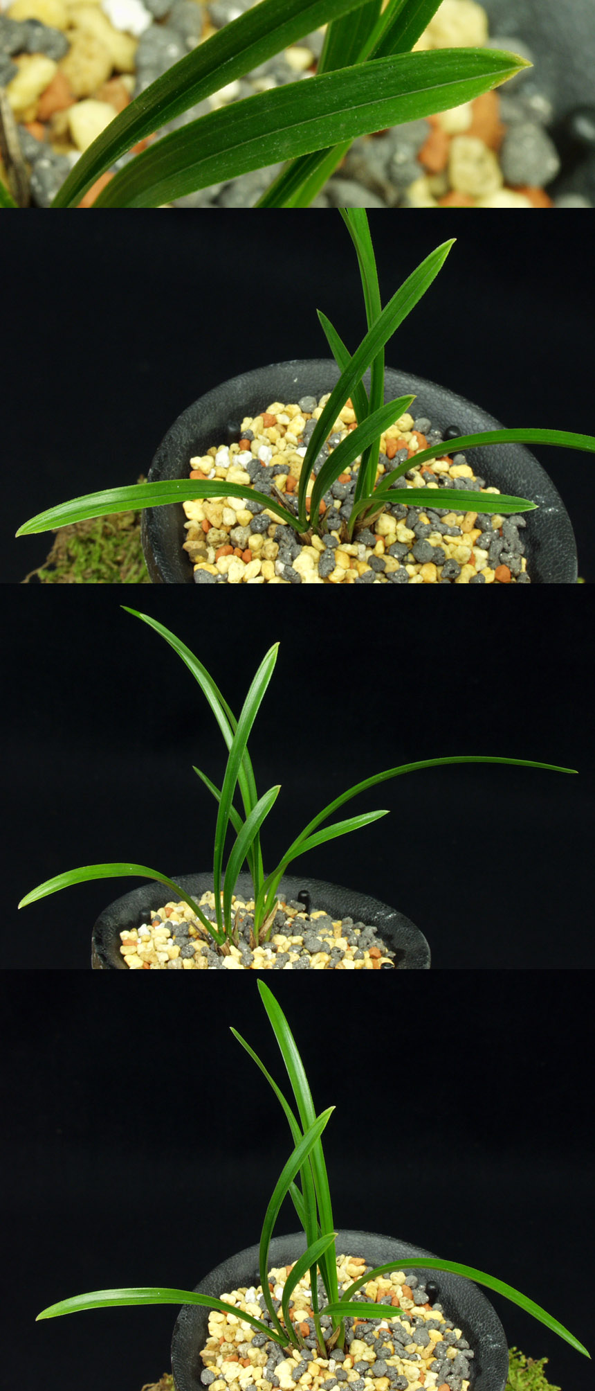 ������ ū������ �� �� �ֽ��ϴ�.