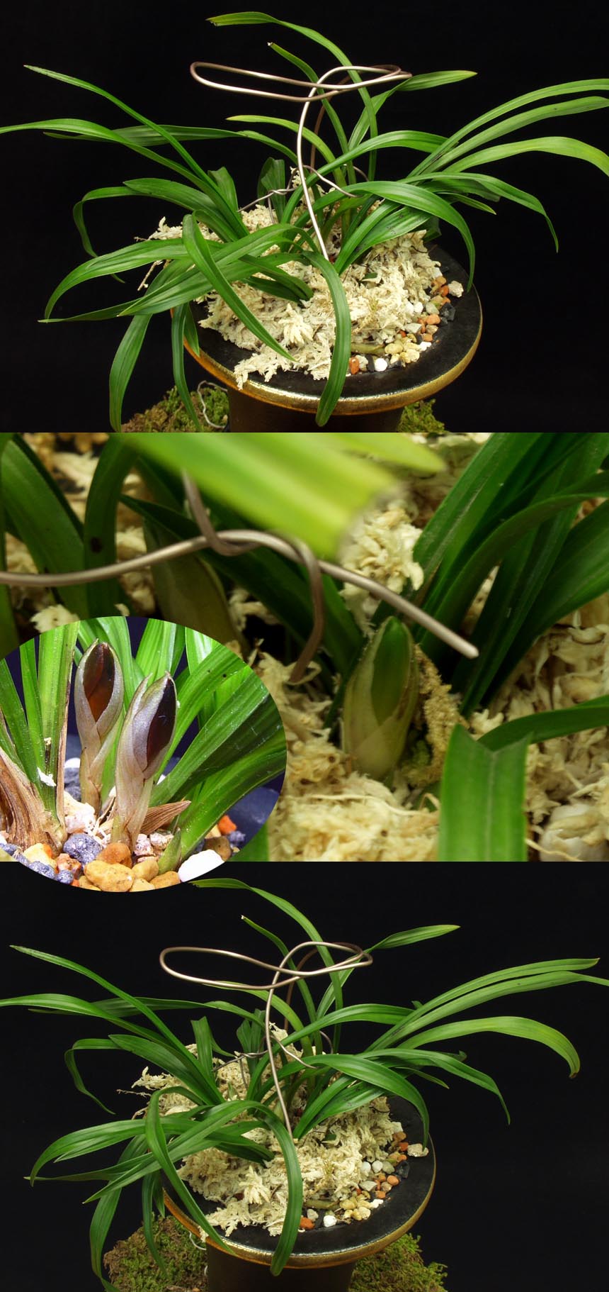 ������ ū������ �� �� �ֽ��ϴ�.