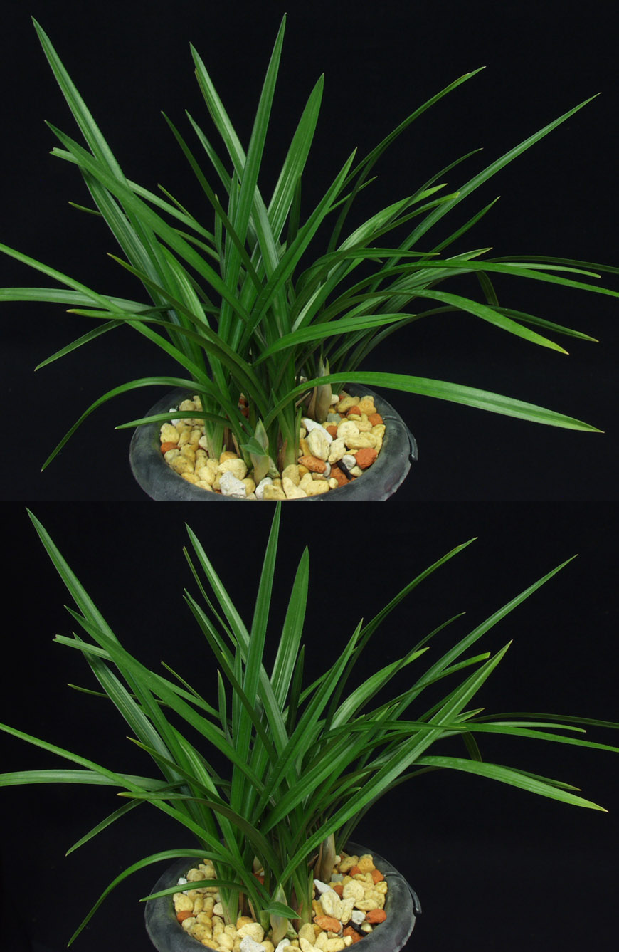 ������ ū������ �� �� �ֽ��ϴ�.