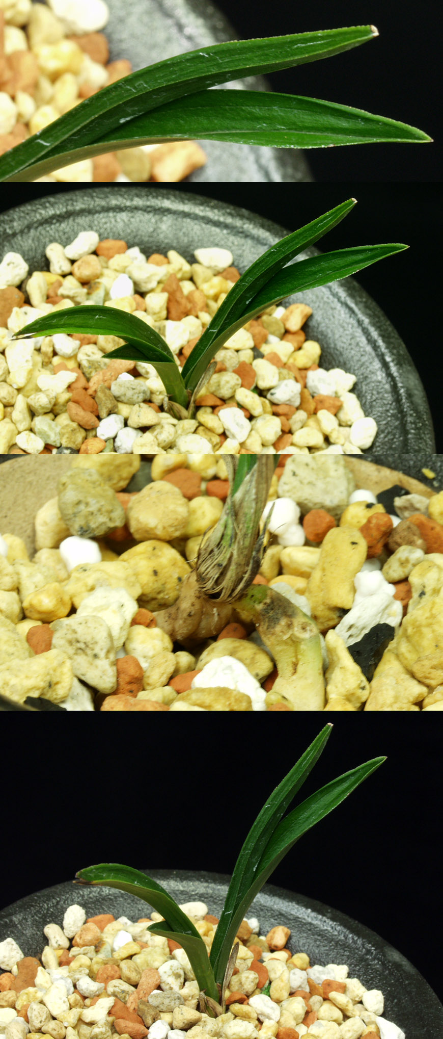 ������ ū������ �� �� �ֽ��ϴ�.