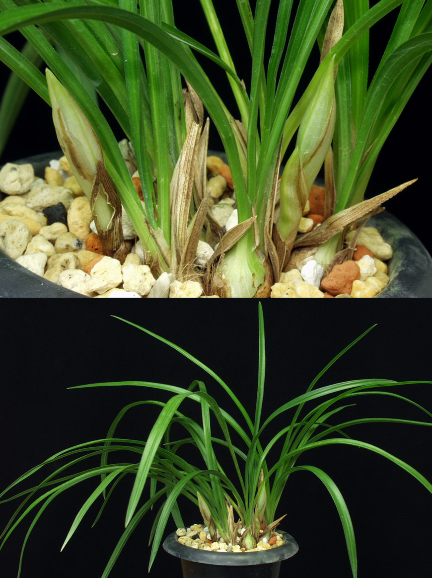 ������ ū������ �� �� �ֽ��ϴ�.