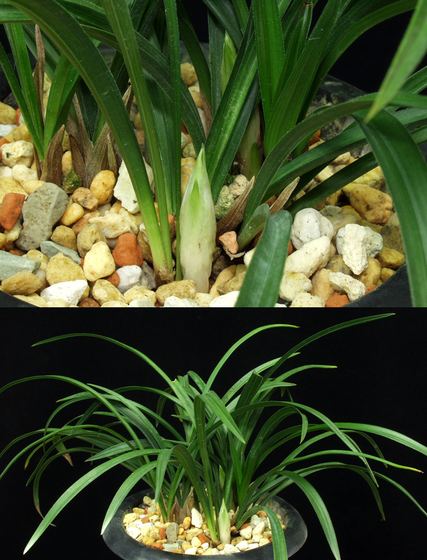 ������ ū������ �� �� �ֽ��ϴ�.