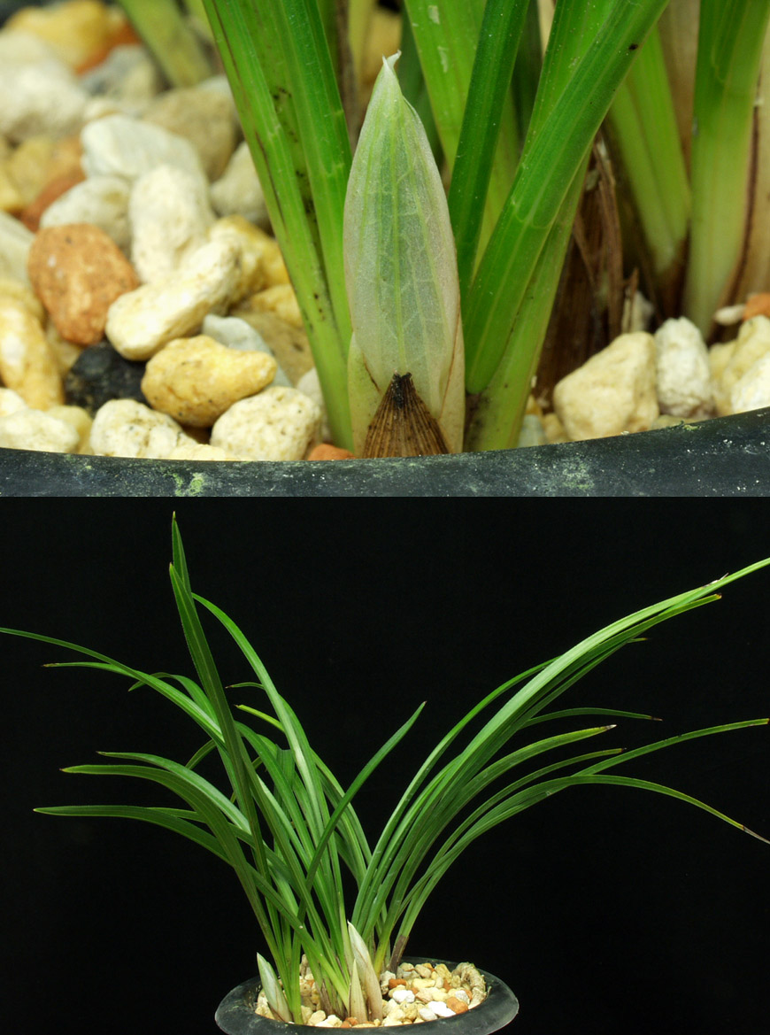 ������ ū������ �� �� �ֽ��ϴ�.